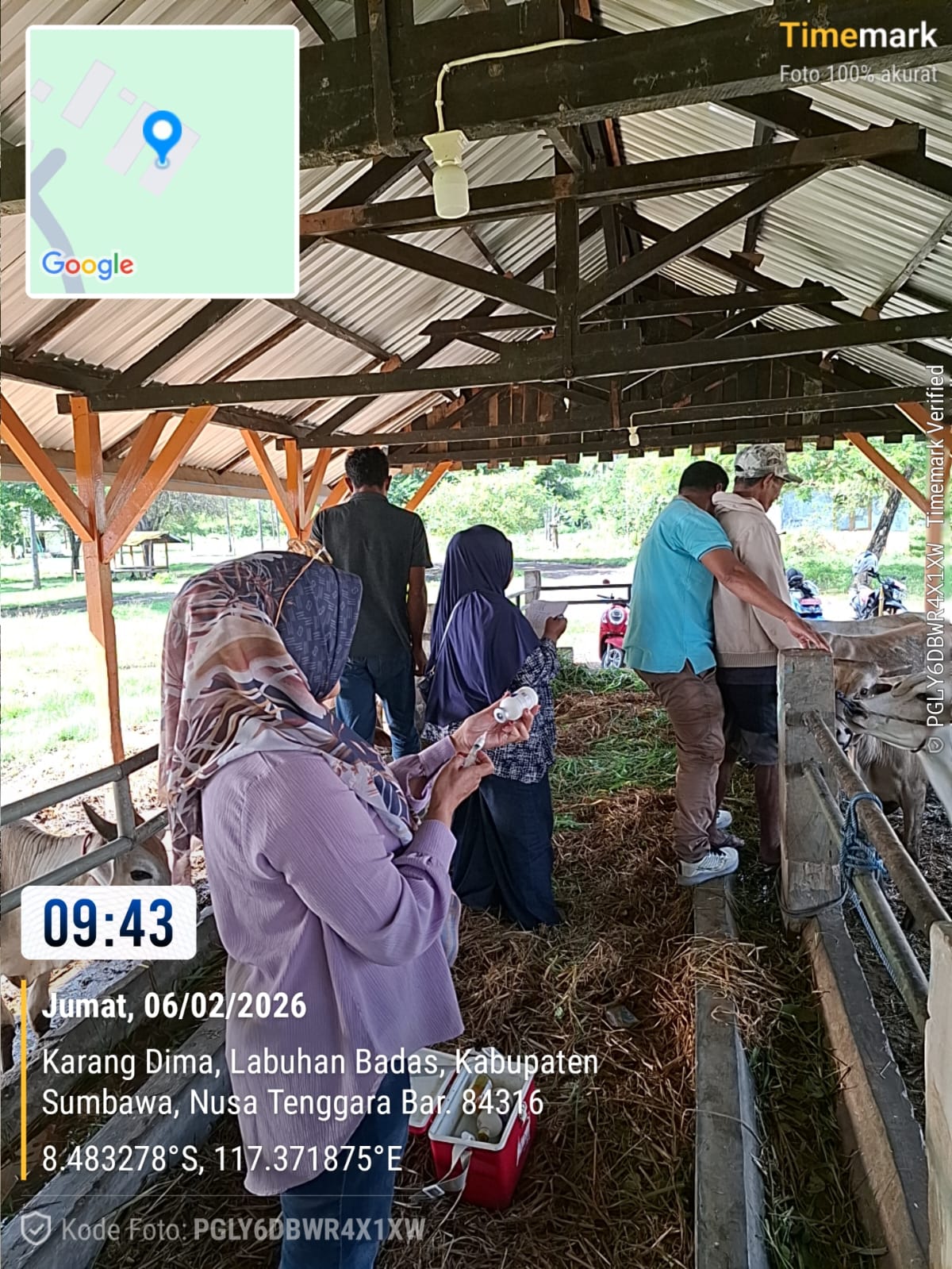 Vaksinasi Penyakit Mulut dan Kuku (PMK) di Kecamatan Labuhan Badas 