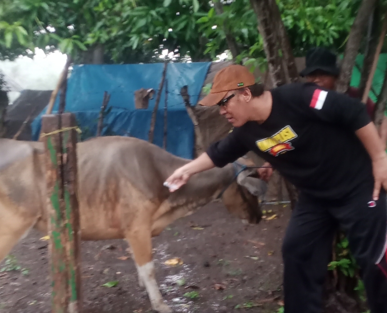 Vaksinasi PMK di Lantung 