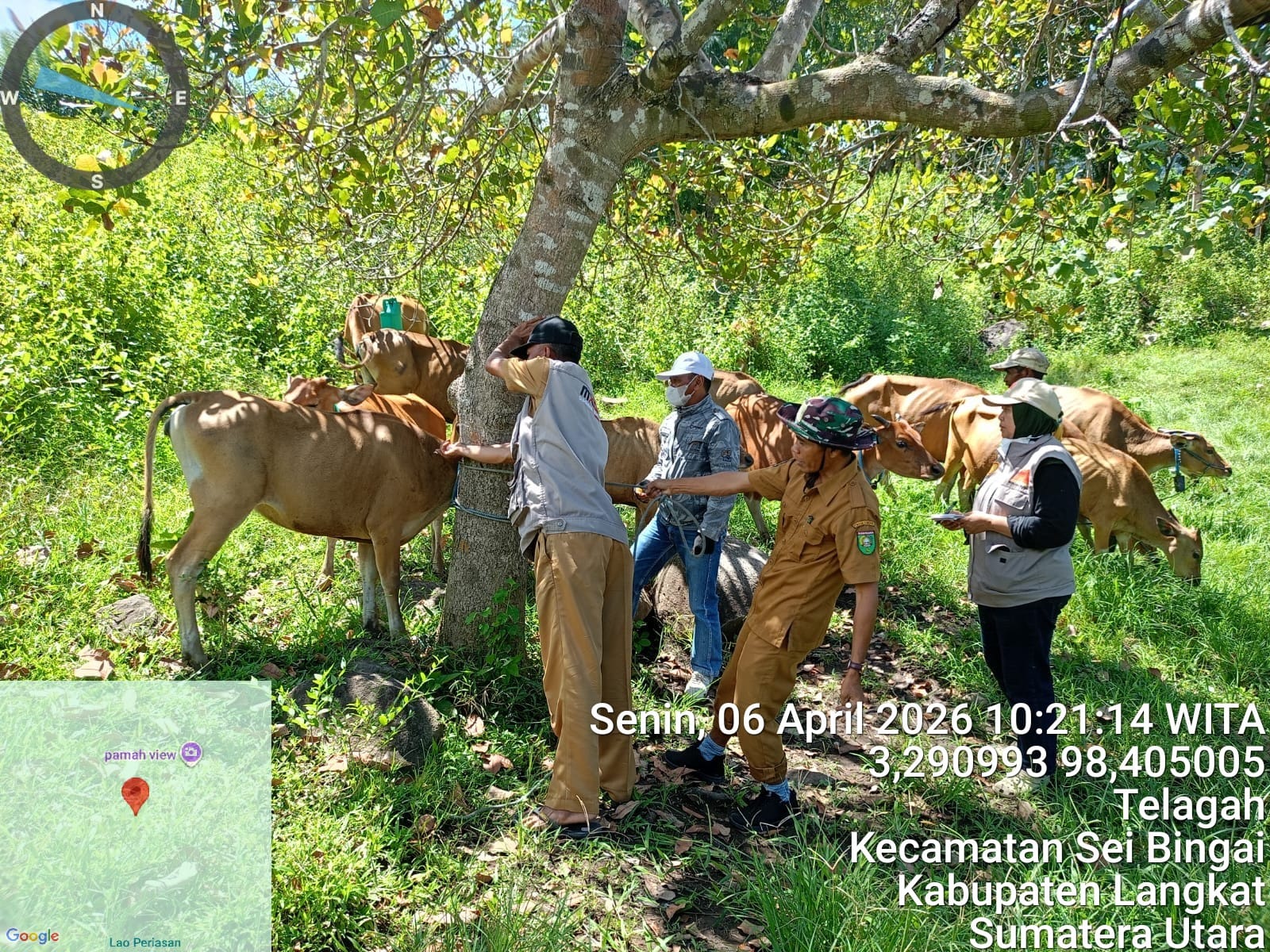 VAKSINASI PMK TETAP BERLANGSUNG, SUMBAWA KOMITMEN JAGA TERNAK TETAP SEHAT!