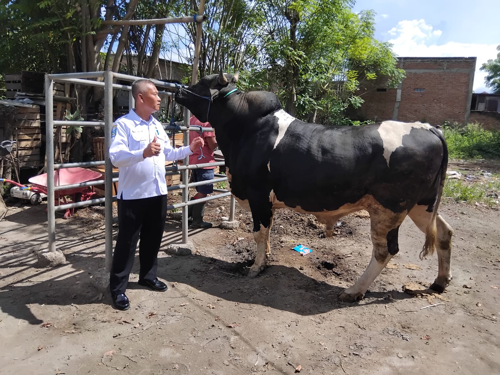 Dinas Peternakan dan Kesehatan Hewan Kabupaten Sumbawa melalui Bidang Perbibitan Ternak dan Pakan Lakukan Verifikasi Lapangan Data Sapi untuk Bantuan Masyarakat Presiden RI Tahun 2026